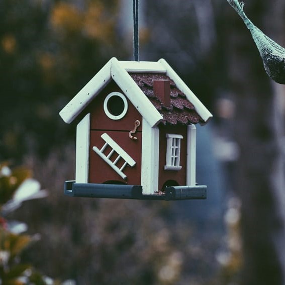 Agentbox Api